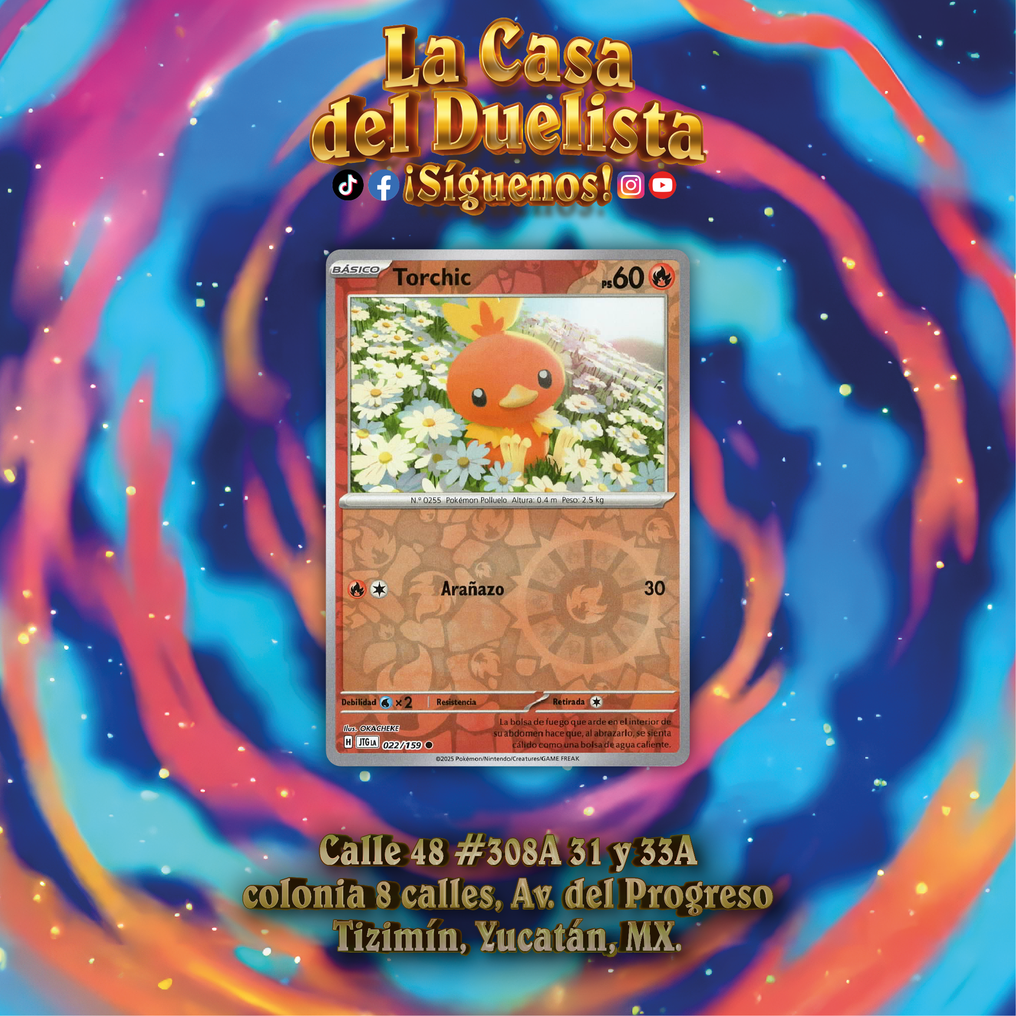Torchic