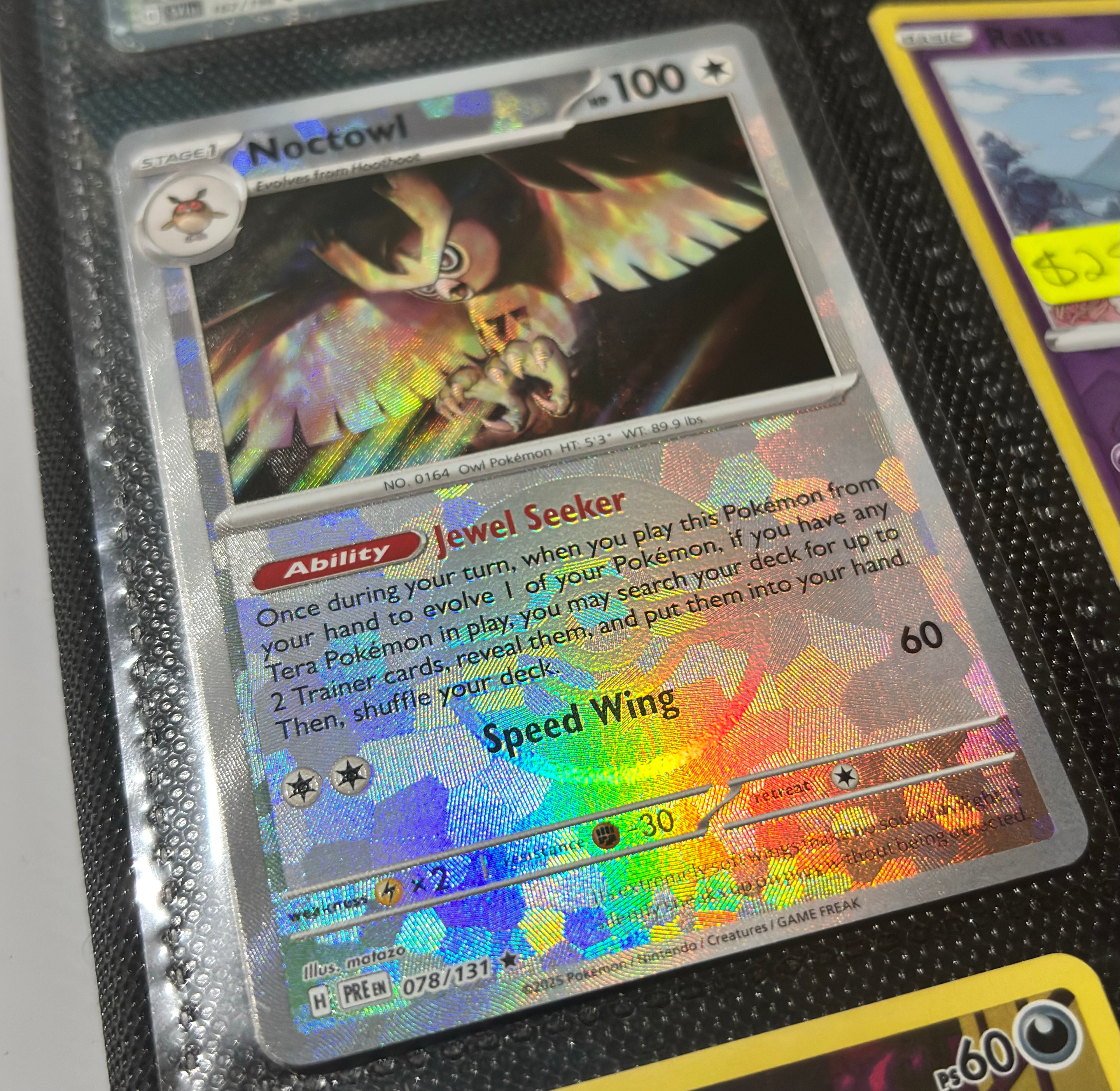 Noctowl