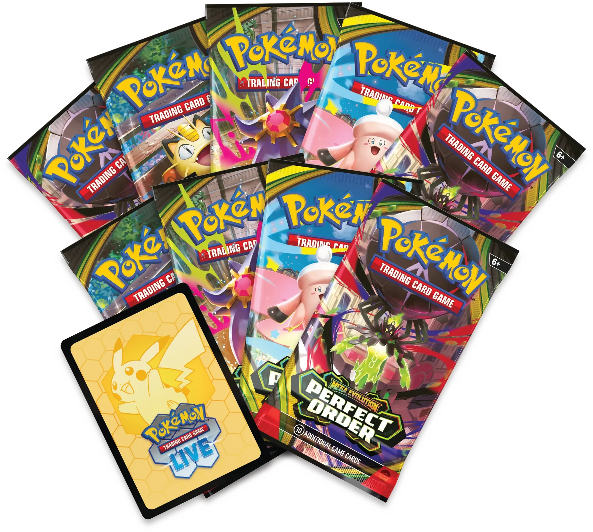 Perfect Order - Elite Trainer Box