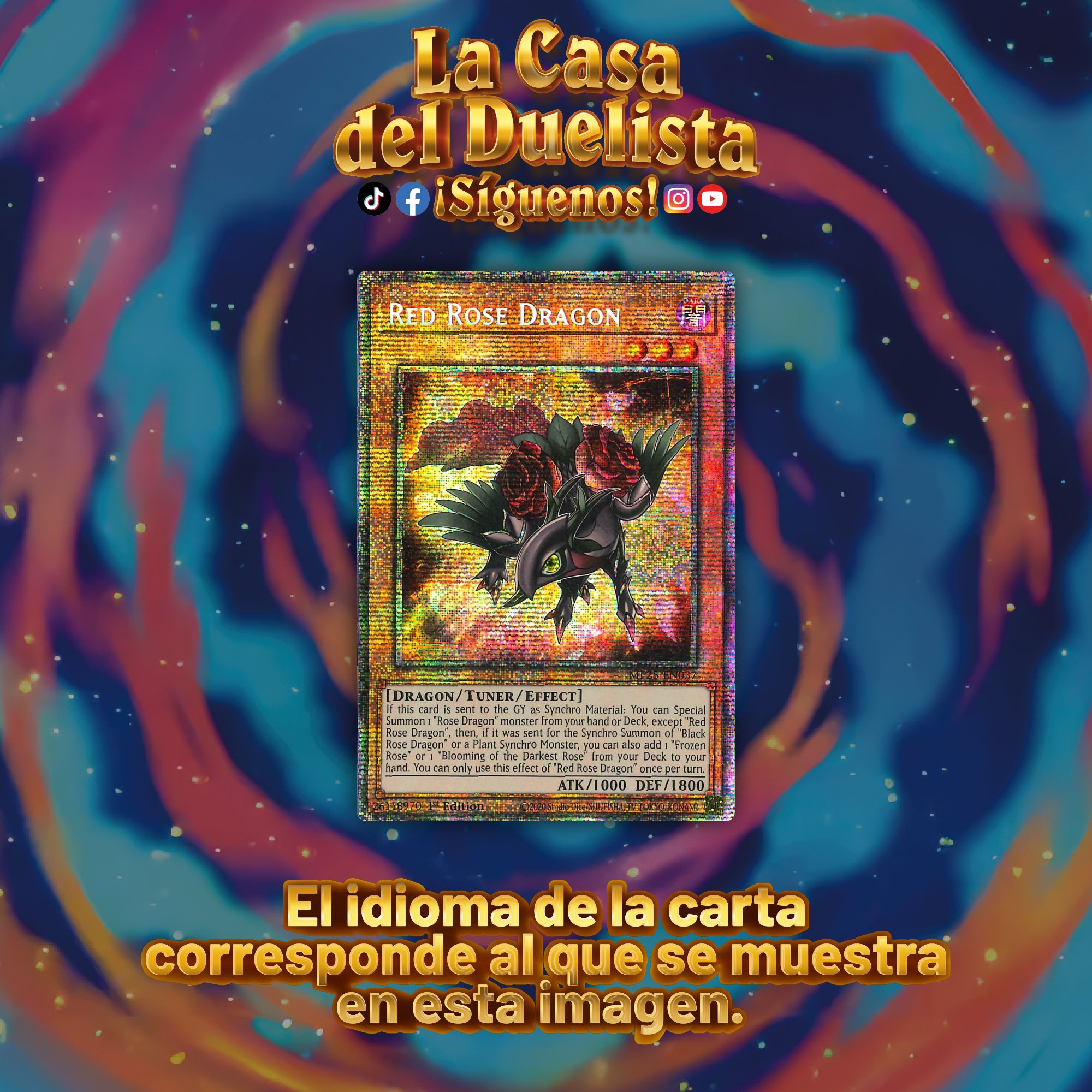 Red Rose Dragon