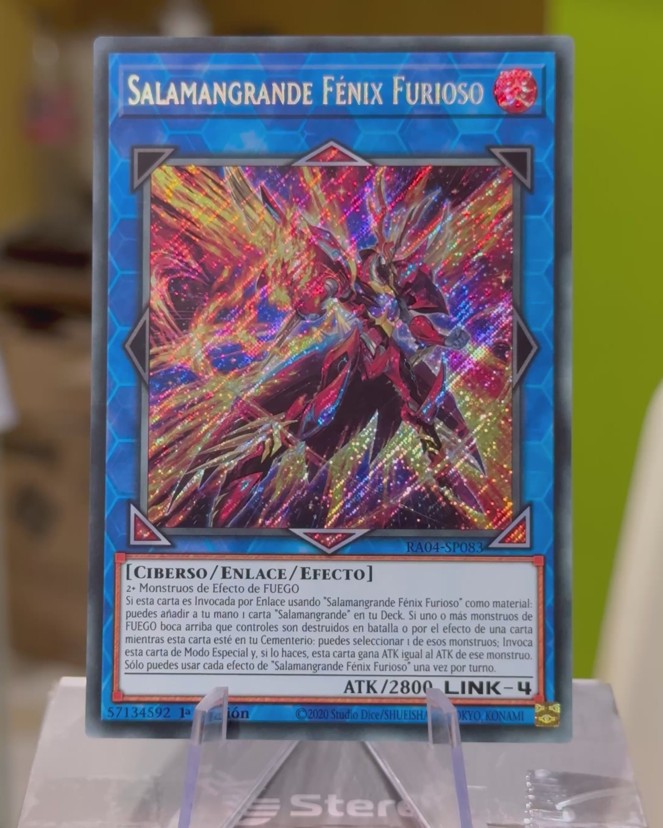 Salamangrande Fénix Furioso